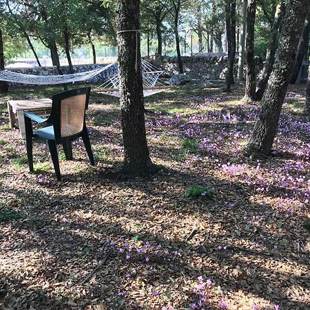 Villa Venus Woods Martina Franca Luaran gambar