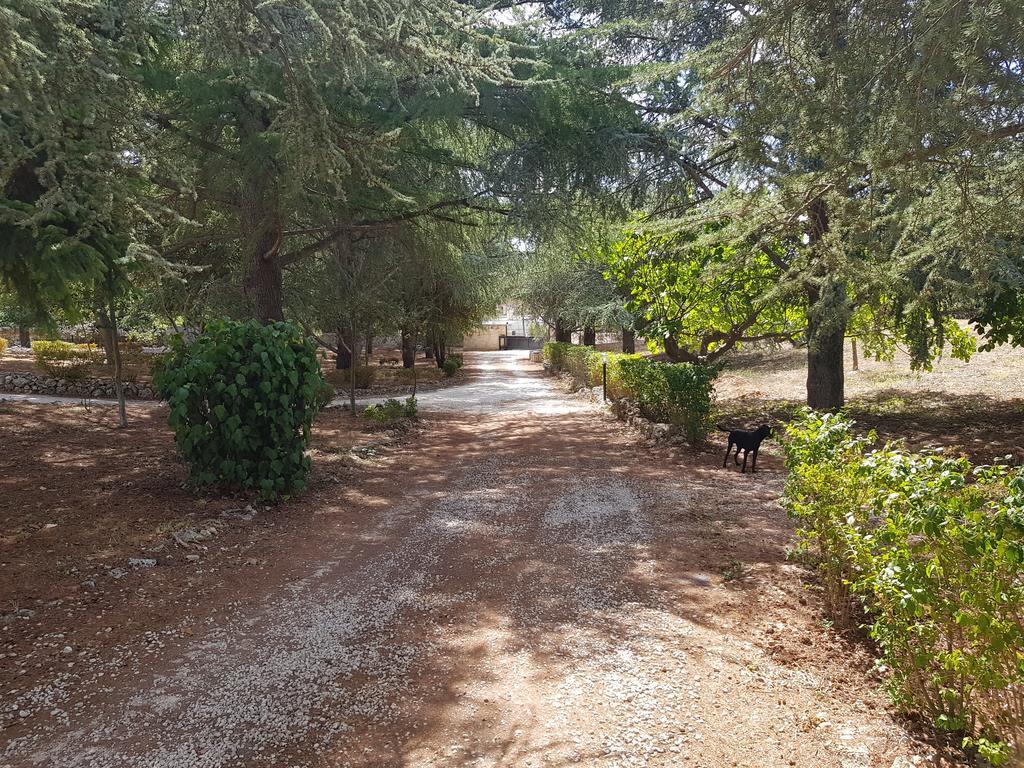 Villa Venus Woods Martina Franca Luaran gambar